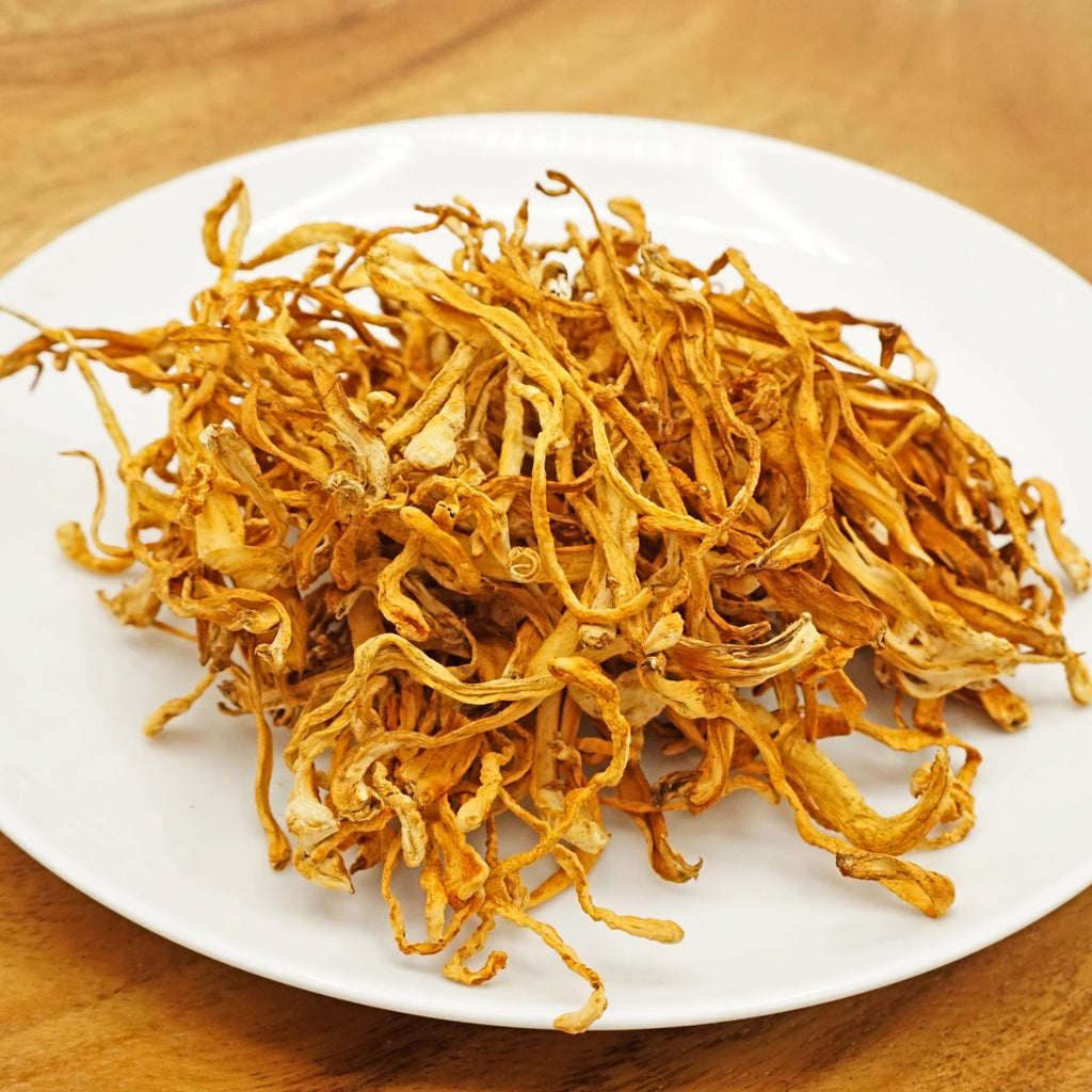 RainNest 虫草花 金虫草 cordyceps militaris